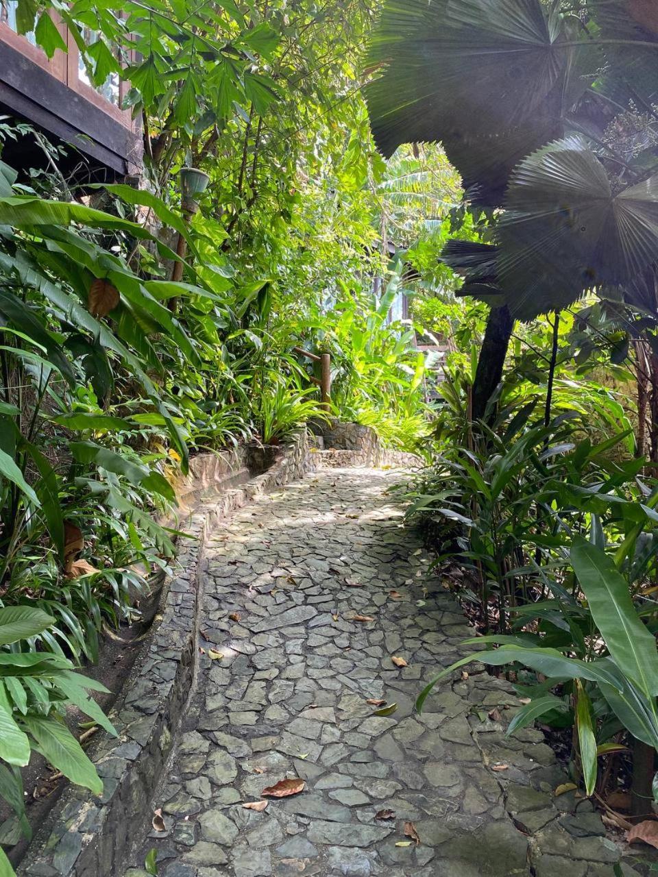 פנתאי צנאנג Ambong Rainforest Retreat מראה חיצוני תמונה