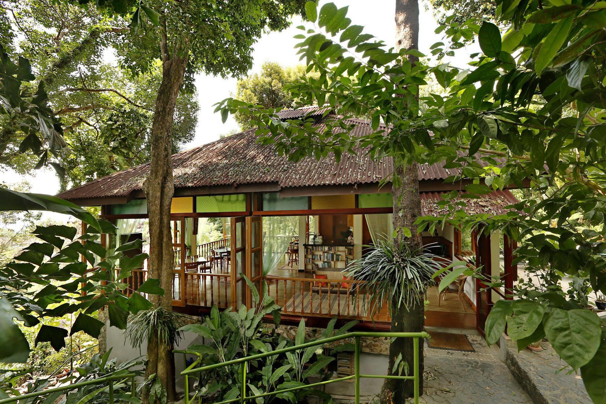 פנתאי צנאנג Ambong Rainforest Retreat מראה חיצוני תמונה